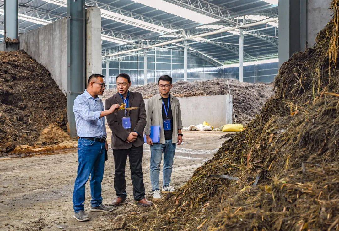 讓群眾有更多獲得感——金華扎實開展群眾身邊不正之風(fēng)和腐敗問題集中整治:短視頻公司
